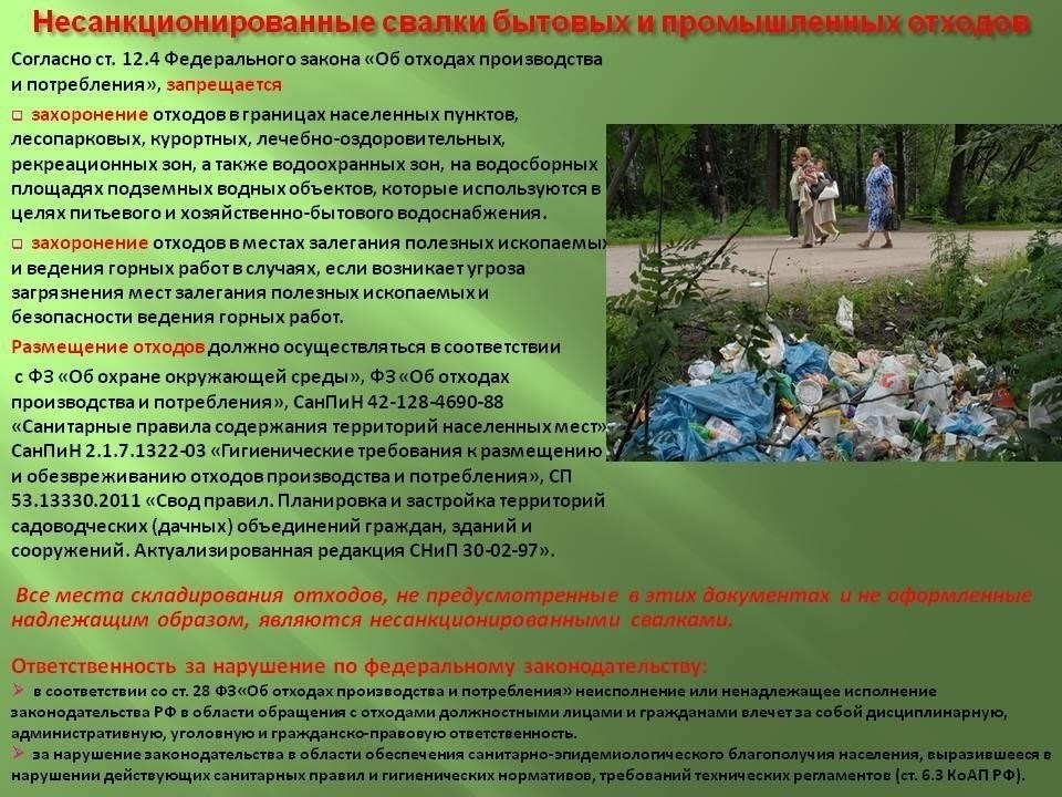 Зачем терпеть несанкционированные свалки? Каковы последствия?