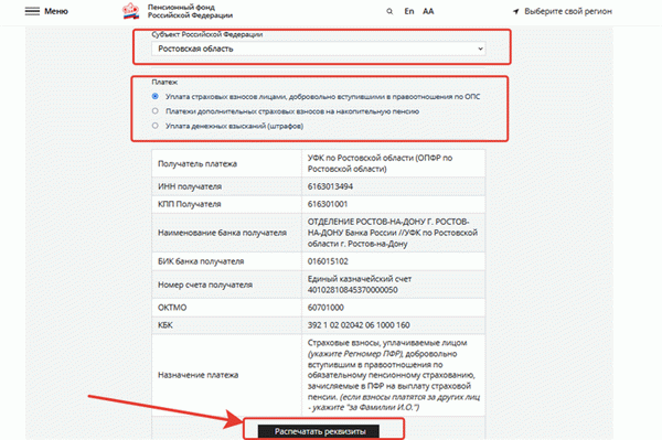 Добровольные пенсионные взносы: реквизиты для оплаты