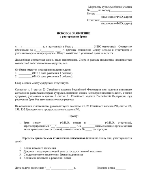 искового заявления о расторжении брака при отсутствии споров о детях 