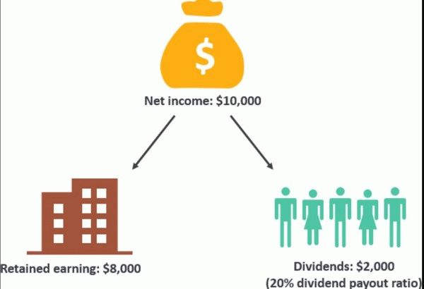 Формула расчёта Payout ratio