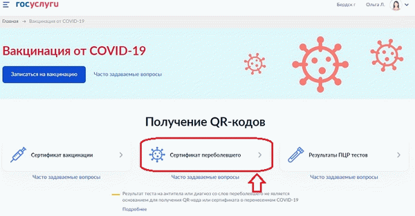 данные о перенесенном заболевании на госуслугах 