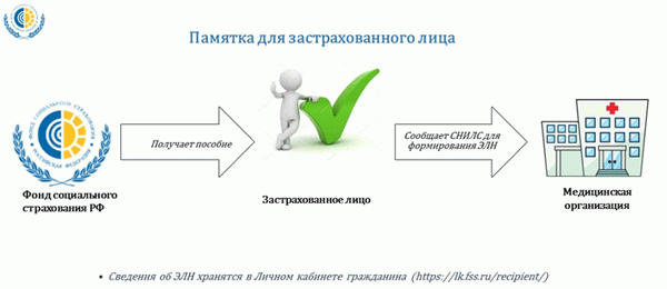 сколько можно находиться на больничном чтобы не уволили с работы