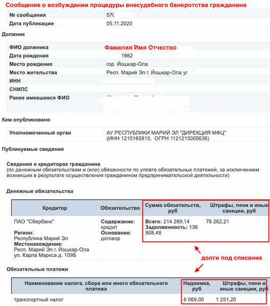 Сообщение о внесудебном банкротстве на ЕФРСБ