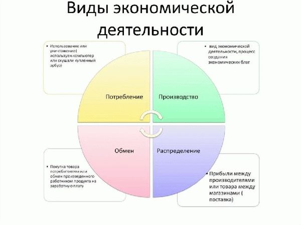 Схема «Виды экономической деятельности»