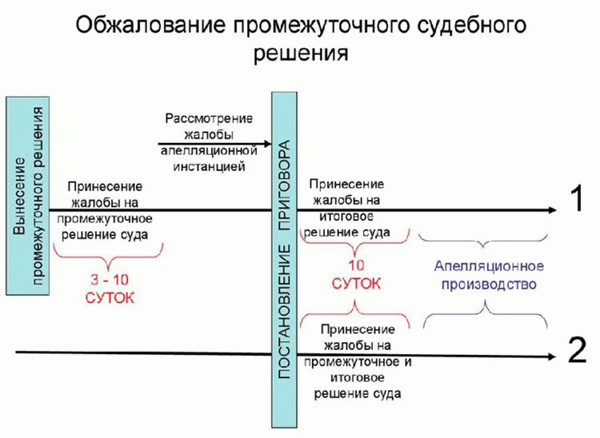 Апелляционная жалоба на решение суда по гражданскому делу - сроки подачи и образец