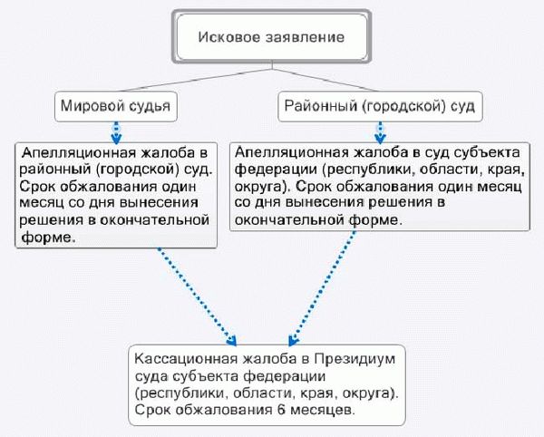 Апелляционная жалоба на решение суда по гражданскому делу - сроки подачи и образец