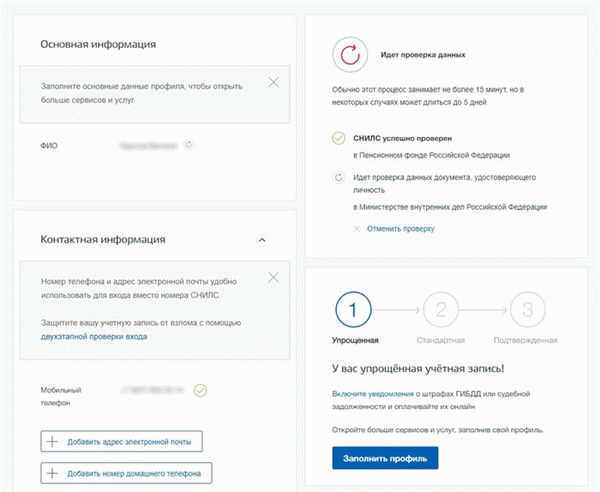 Проверка профиля на сайте Госуслуг