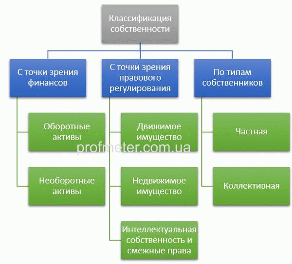 Пример классификации видов собственности в зависимости от целей классификации