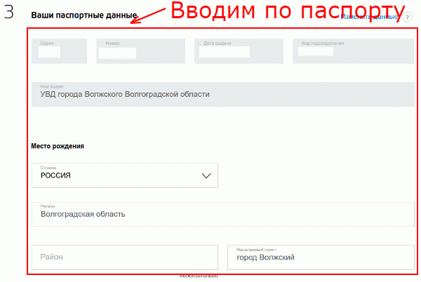Заполнение паспортных данных
