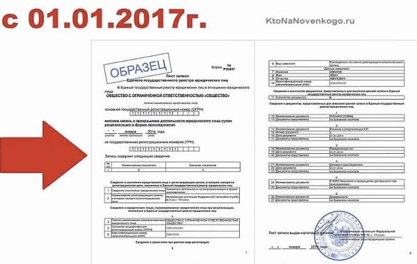 Как выглядит свидетельство после 2017 года