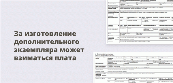 За изготовление дополнительного экземпляра может взиматься плата