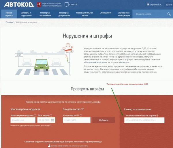 автокод проверка штрафов ввод данных