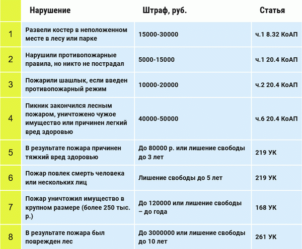 Рецепт шашлыка «без штрафов»: где и как разрешено жарить шашлыки. Новые штрафы с июня 2022 года