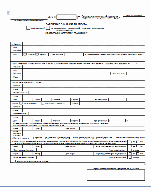 Анкета на загранпаспорт старого образца для несовершеннолетнего « width=»550