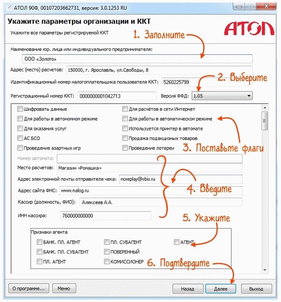 Укажите параметры организации и ККТ